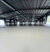 Cho thuê 3000m2 KCN Phú Tài quy nhơn