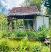 NHÀ VƯỜN VIEW SUỐI NGOẠI Ô BUÔN MA THUỘT THÔN 6 XÃ HOÀ KHÁNH - Loctran