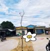 3 lô liền kề sạch đẹp nằm gần làng chiếu Bàn Thạch-DUy Vinh-Sổ riêng từng lô-Giá 740tr/1lô