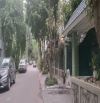 Bán biệt thự Nguyễn Duy Trinh, Linh Đàm, 252m2, 5 tầng, giá 62 tỷ