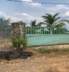 🌳 BÁN MẢNH VƯỜN TRỒNG CÂY ĂN TRÁI 500m2 – TRỊ AN ĐỒNG NAI 🌳