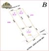 RA HÀNG 3 LÔ ĐẤT ĐẸP – KHỐI 15, NGHI PHÚ (PHƯỜNG VINH PHÚ) 51,2 m2 - 71,2 m2