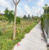 7,79×28m ONT . xã Lạc Tấn , Tân Trụ, long AN