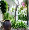 ✨ SIÊU VILLA NGUYỄN HỮU THÔNG – 300M² – 48TỶ ✨