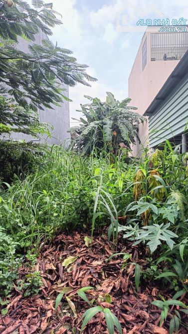 Bán nền đất KDC Tân Vĩnh Hiệp P Tân Đông Hiệp 60m2 giá đầu tư định cư - 1