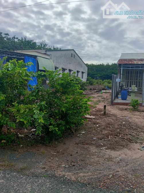 Bán đất mặt tiền đường Lý Tự Trọng - Huỳnh Tấn Phát Khu phố 7 thị Trấn Tân Biên - 4