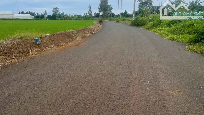 Bán Đất Long Tân lay Sát Nhập Vào Xã Đất Đỏ-Thành Phố Hồ Chí Minh Dt :1022mv Ngang 58 Mét