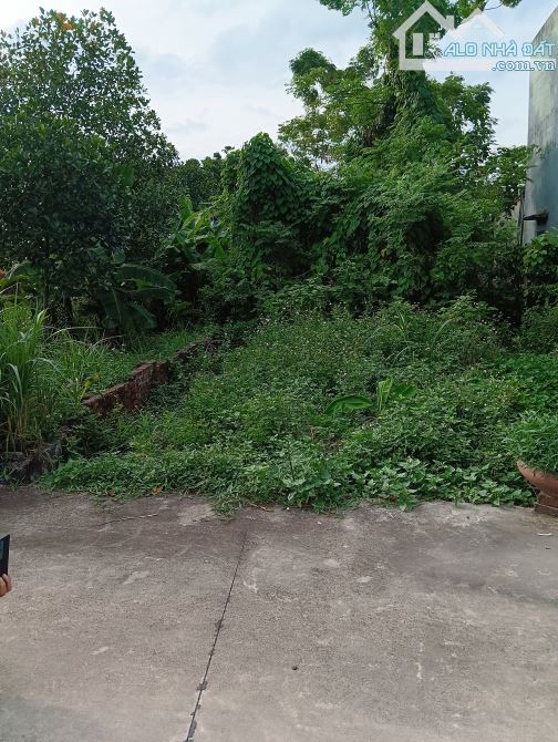 Bán Đất - Bắc Thượng(Quang Tiến) - 53M2 Full Thổ Cư - 1,85 Tỷ - Đường Thông Ô Tô Tránh