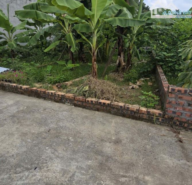 Bán đất Nam Hồng – Đông Anh (Phúc Thịnh)  Diện tích: 46m², mặt tiền & hậu 4m  Ô tô ngủ tro