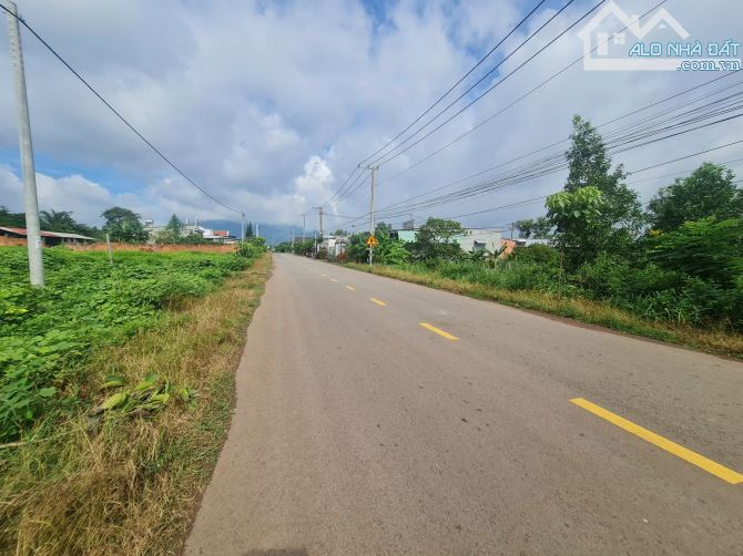Bán 1,4 mẫu đất mặt tiền đường nhựa Xuân Trường – Trảng Táo phù hợp làm kho xưởng giá 8 tỷ