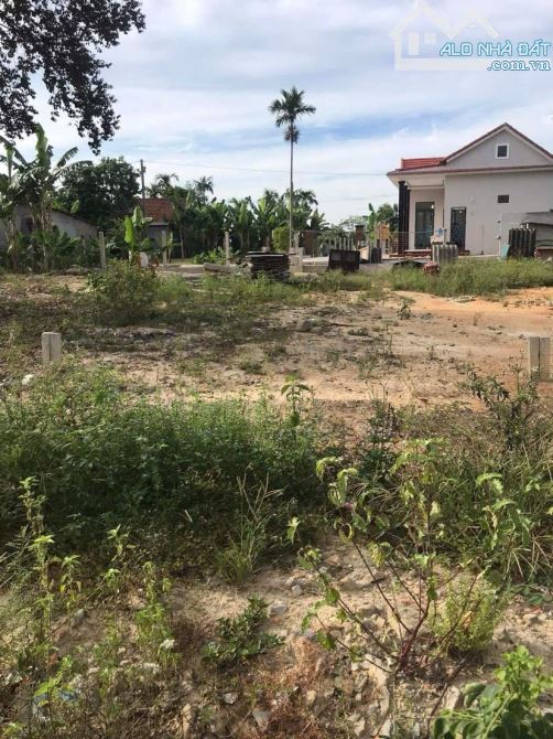 🌿 Mặt tiền đường liên thôn Lai Lâm – Quảng Vinh, cách An Lỗ chỉ 3km – giá chỉ 4xx triệu
