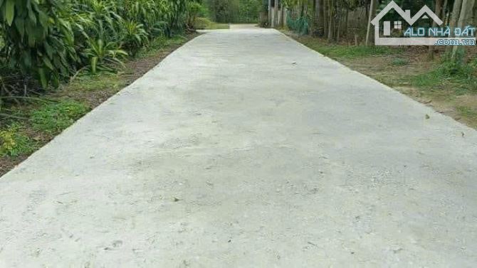 🌳 ĐẤT ĐẸP ĐÔNG AN – PHONG AN – GẦN NHÀ MÁY TUYNEN💥Giá chỉ 4xx triệu