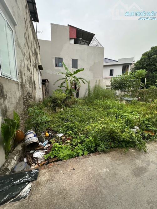 💯💯Bán đất Đình Tổ – Nguyễn Trãi - Thường Tín - Hà Nội  ⛔️Diện tích: 52,7m²
