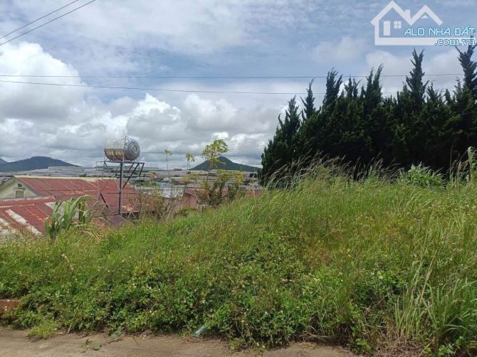 🏡✨ BÁN ĐẤT HẺM Ô TÔ LỚN – TRỊNH HOÀI ĐỨC, P.11, ĐÀ LẠT ✨