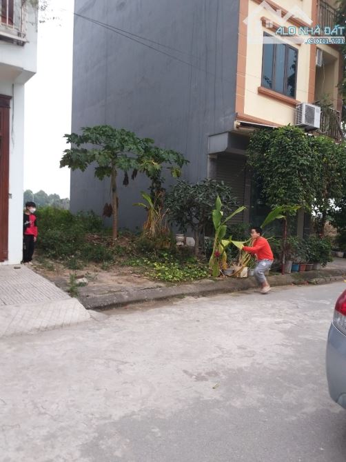 Cần thanh khoản 50m đất dịch vụ khu B Yên Nghĩa - phân lô mặt tiền 5m, giá đầu tư 11,x tỷ