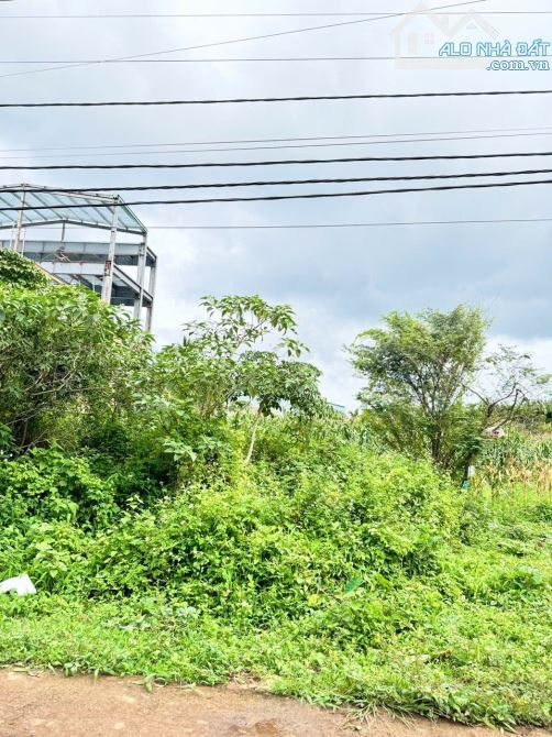 ĐẤT MẶT TIỀN KA12 CÁCH VÀNH ĐAI QL14 - 26 CHỈ 20m ĐỐI DIỆN UBND PHƯỜNG TÂN AN