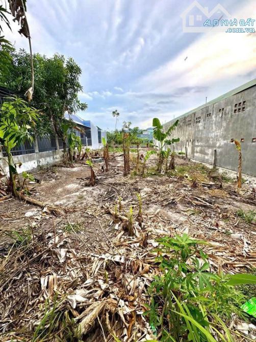 PD58 Bán đất mặt tiền đường Trần Đăng Ninh - Nam nha Trang (Phước Đồng)