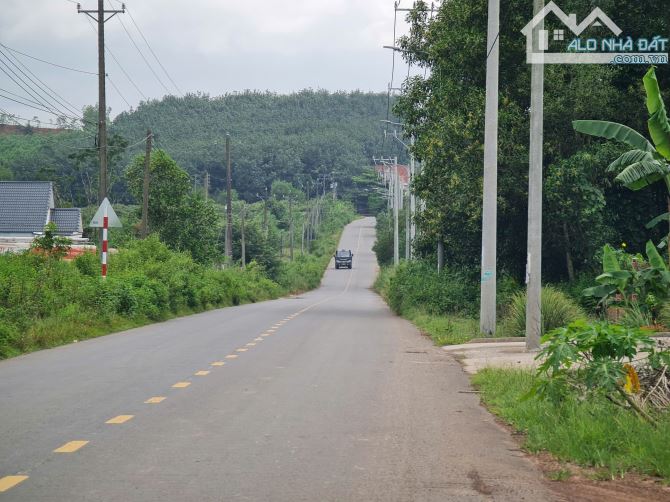 Bán 2 mẫu đất hiện trồng Cao Su có 250 m mặt tiền đường phù hợp phân lô hay trang trại