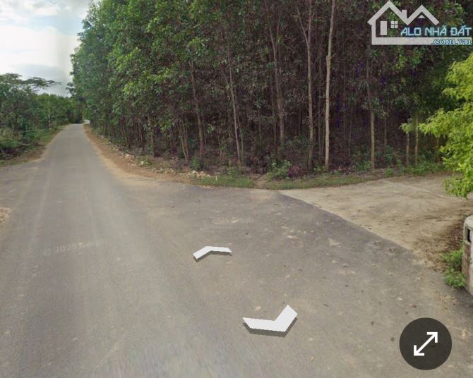 Bán đất vườn Diên Đồng giá rẻ mặt đường bê tông oto tới nơi