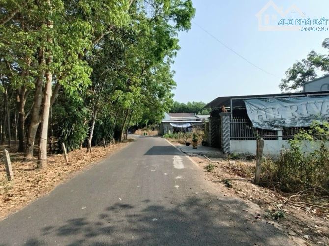 Bán đất Phú An Bến Cát Bình Dương