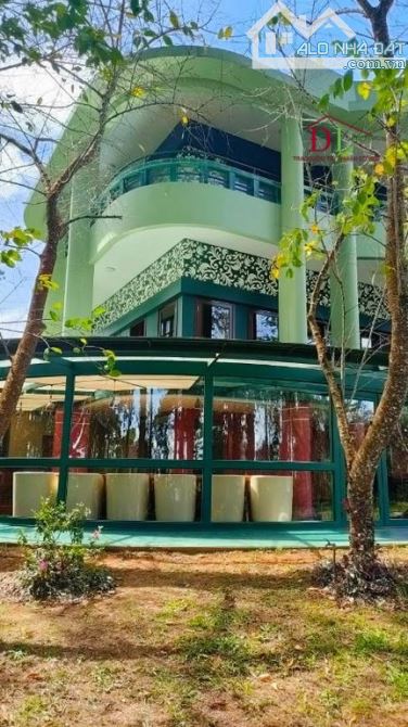 Bán khu biệt phủ Đà Lạt, đồi Nguyễn Khuyến, gần 5000m² đất ở tư nhân, giá 650 tỷ #2547