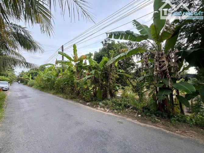 Đất và nhà giá siêu mềm chưa từng thấy