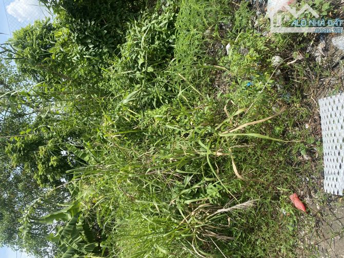 ĐÔNG DƯ_ BÁT TRÀNG. -  40,2m2_ NGÕ THÔNG  -Ô TÔ - CÁCH TRƯỜNG HỌC CÁC CẤP - CHỢ ỦY BAN 300