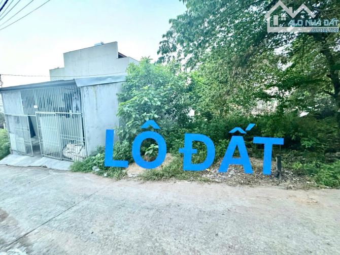 🎯🎯ĐẤT 2 MẶT KIỆT OTO 111 TRẦN THÁI TÔNG, TP HUẾ