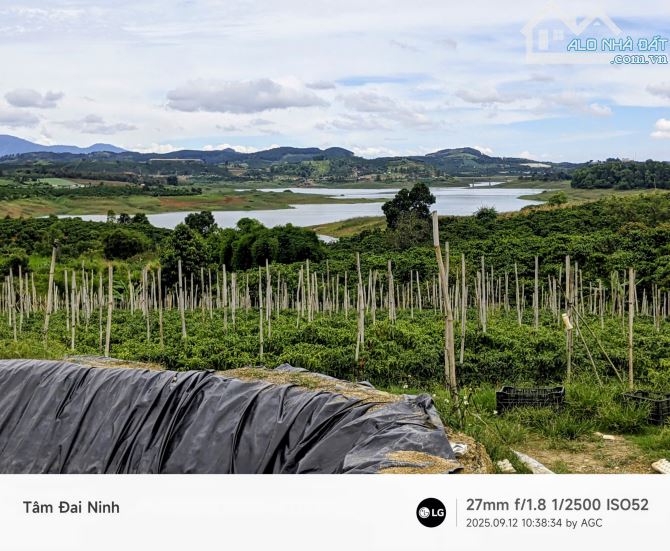 Cần bán 7.500m2 đất View Hồ Đại Ninh,xã Tà Hine,Lâm Đồng.chỉ 290 triệu/1.000m2