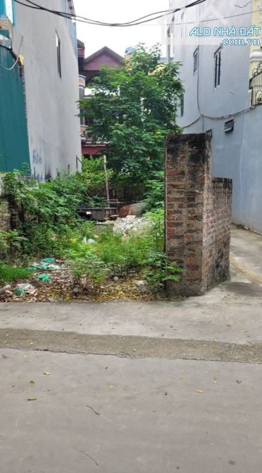 Bán đất mặt đường Đan Nhiễm, Khánh Hà_98m2_ ô tô, Kinh doanh_ 4.6 tỷ - 1