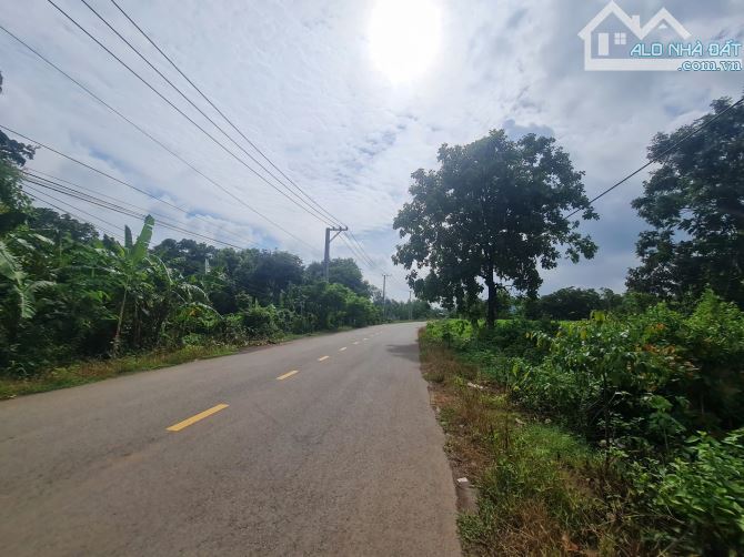 Bán 1,4 mẫu đất mặt tiền đường nhựa Xuân Trường – Trảng Táo phù hợp làm kho xưởng giá 8 tỷ - 1