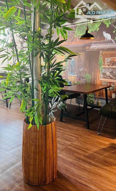 🌈Bán Nhà mặt tiền đường Trần Quang Khải Giá 25 Tỷ. - Tp Nha Trang  - 3p ra Biển Trần Phú - 1