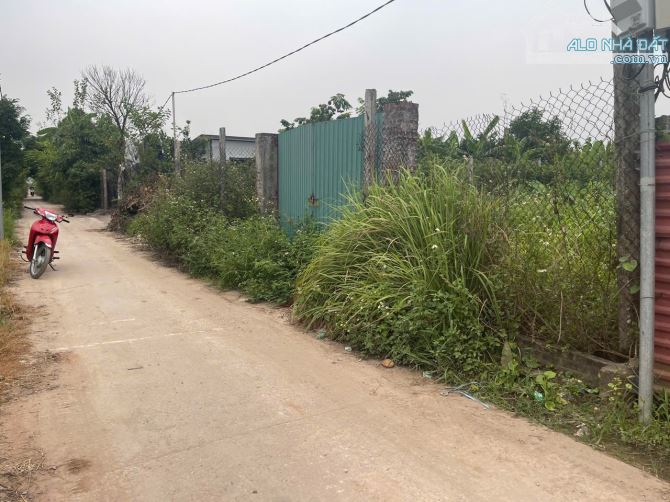 Bán 421m đất, MT:11m, giá 2.25 tỷ, đất SX Nông nghiệp Yên Mỹ, Thanh Trì. - 1