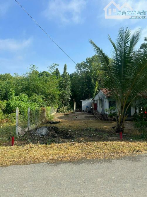 Cần bán lô đất mặt tiền đường nhựa Trương Thị Kiện Thái Mỹ Củ Chi 149,9 M giá 900trieu - 1