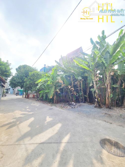 276.6m2 6ty TL đất cách đường Trần Quốc Toản 100m p.Đông Hòa Tp.Dĩ An - 1