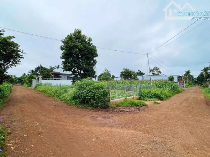 BÁN ĐẤT 2 MẶT TIỀN 9.7x25m CUOR ĐĂNG - CƯMGAR 1Tỷ300 triệu - 1