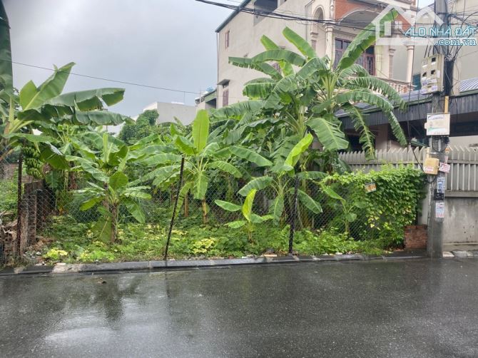 BÁN ĐẤT QUẬN LONG BIÊN– VIỆT HƯNG- MẶT PHỐ-DÀNH CHO NHÀ ĐẦU TƯ– DIỆN TÍCH RỘNG-GIÁ ĐẠI HẠ - 1