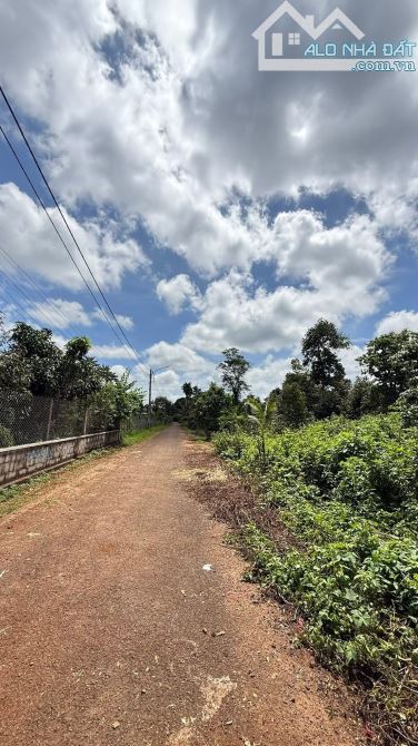 Bán đất rộng hẻm vành đai 14-26, Mậu Thân 8X56m 1,39t - 1