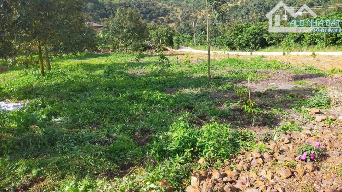 BÁN ĐẤT NGHỈ DƯỠNG GIÁ TỐT QUY HOẠCH THỔ CƯ CHỈ 750TRIỆU - 1