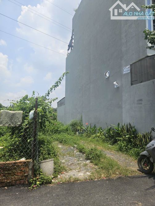 ĐẤT NỀN tại đường 12, P. Trường Thọ, Thủ Đức, TPHCM. 69M2 ĐXH chỉ nhỉnh 5 tỷ - 1