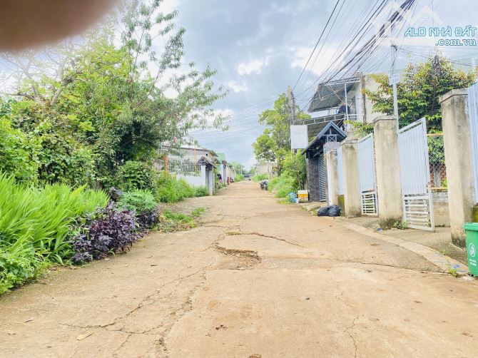 ĐẤT HẺM 246  Y MOAN - P. TÂN LỢI 5*23 tc60 bán 2ty650 - 1