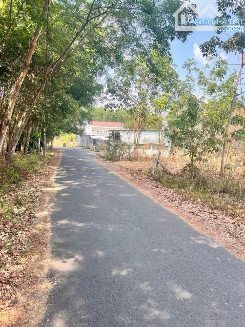 Bán đất Phú An Bến Cát Bình Dương - 1