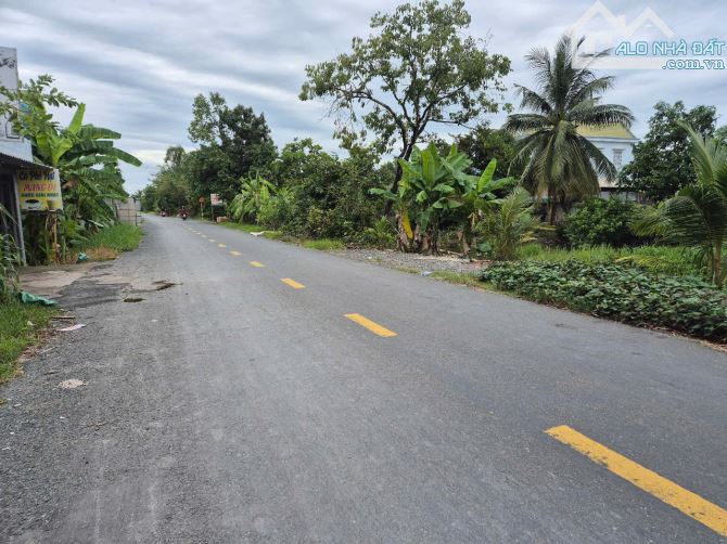 Bán nền đất 5x78m, (394m2)giá 1 tỷ 650 triệu , xã hựu thạnh, Huyện Đức Hòa, Long An. - 1