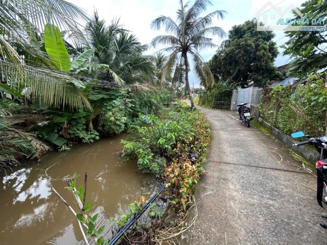✅ Bán 251 Thổ + 372m2 lúa hẽm đường Mai Bá Hương thuộc Phường 5 , TP Tân An , Long An. - 1