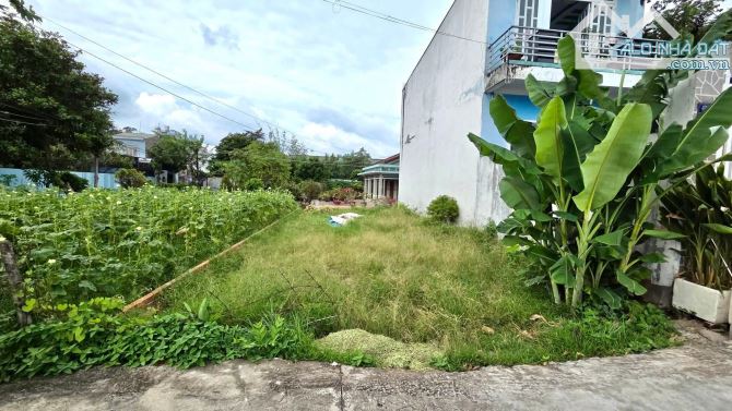 Thím 2 bán cháo cần bán miếng đất - Xã Tân Phú Trung - Huyện Củ Chi - 1