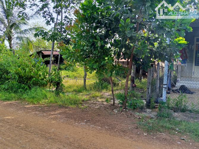 Bán đất Thổ cư 150tr 1nến đất, ấp Bàu Đưng, xã Tân Phong, Tân Biên Tây Ninh - 1