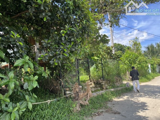 🔥🌿 NAM YÊN – HÒA BẮC | 400M² ĐẤT VƯỜN ĐẸP GIỮA ĐẠI NGÀN | 4.2 TỶ🌿🔥 - 1