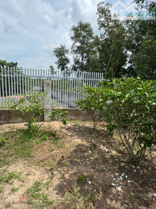 ✅ CHỈ 1 TỶ 150 TRIỆU – SỞ HỮU NGAY LÔ ĐẤT ĐƯỜNG MỸ XUÂN – TÓC TIÊN ✅ - 1