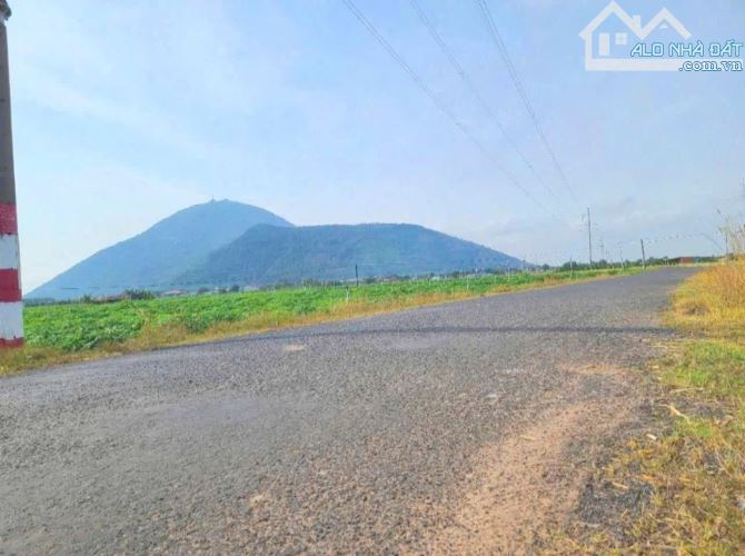 Cần bán 19.500m2 đất đường nhựa 12m Thạnh Tân cũ , Tây Ninh - 1