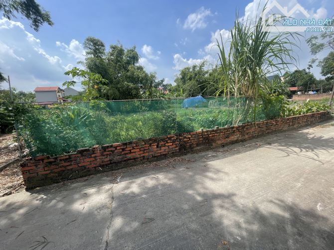 🔥Bán 88m/mt7 Kim Anh (Thắng Hữu, Minh Trí, Sóc Sơn) đường thông oto💥 chỉ 1.x tỷ💥💥💥 - 1